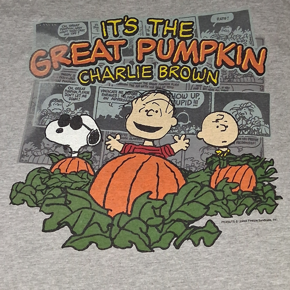 Y2K Its The Great Pumpkin Charlie Brown Vintage Shirt Halloween Fall Peanuts Tee